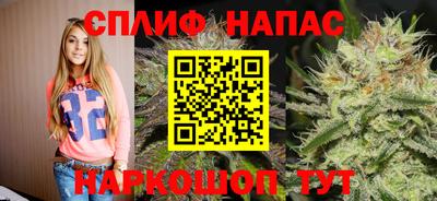 spice Будённовск