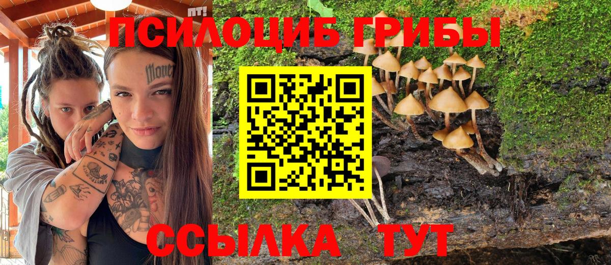 Галлюциногенные грибы мицелий  Вход с VPN  Комсомольск-на-Амуре 